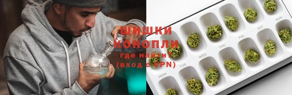 ПСИЛОЦИБИНОВЫЕ ГРИБЫ Арсеньев
