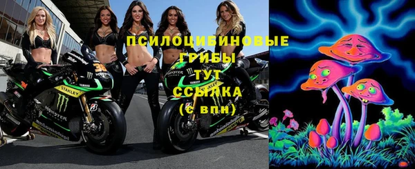 ПСИЛОЦИБИНОВЫЕ ГРИБЫ Арсеньев