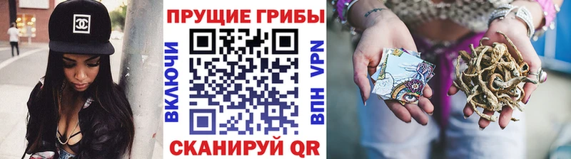 Псилоцибиновые грибы мухоморы  Солнечногорск 